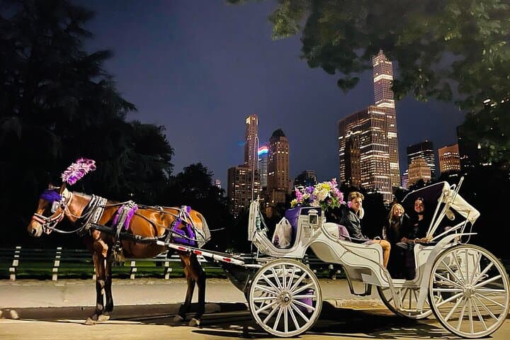 Central Park Moonlight Horse & Carriage Tour with Photo Stops photo 4
