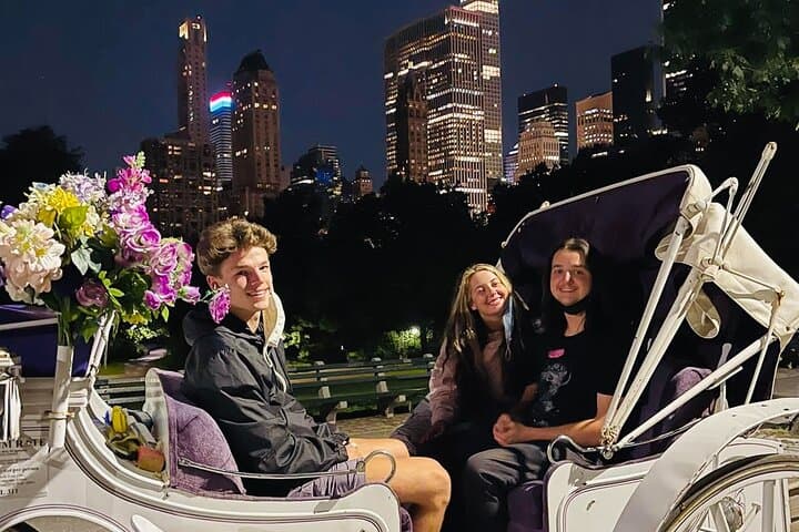 Central Park Moonlight Horse & Carriage Tour with Photo Stops photo 2