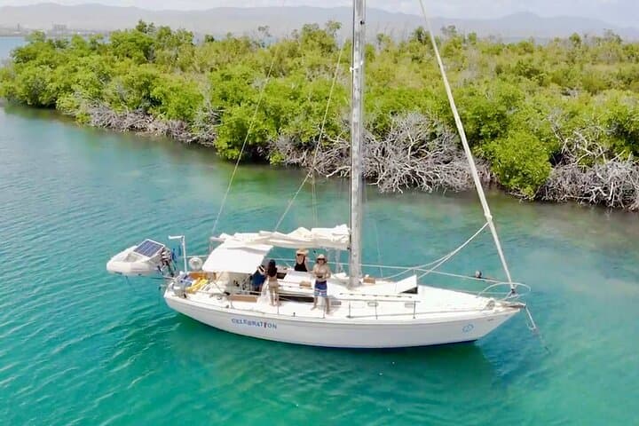 Private Day Sail to Jobos Bay & Cayo Caribe — South Coast Puerto Rico photo 5