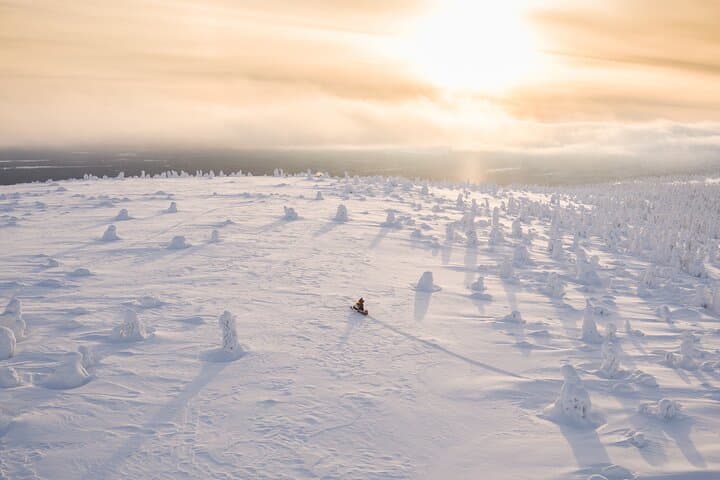 Snowmobiling Adventure in Levi: Explore Arctic Forests on a Guided Safari photo 3