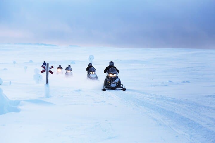 Snowmobiling Adventure in Levi: Explore Arctic Forests on a Guided Safari