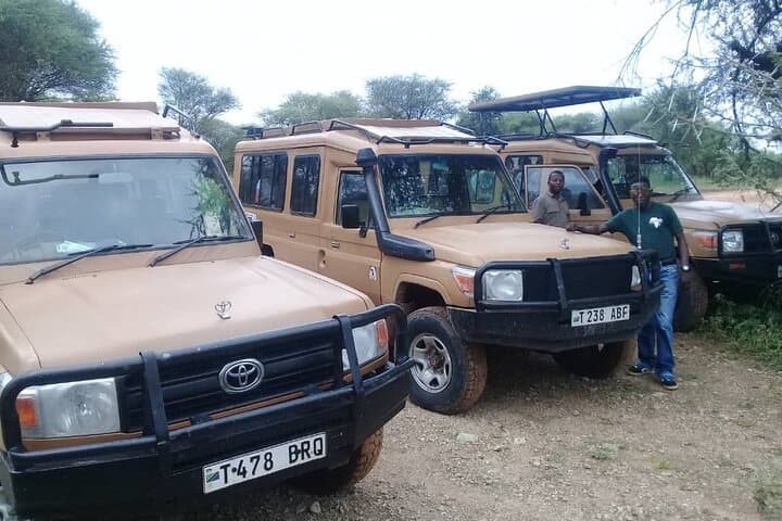 7-Day Tanzania Mid-Range Lodge Safari: Arusha to Serengeti & Ngorongoro photo 3