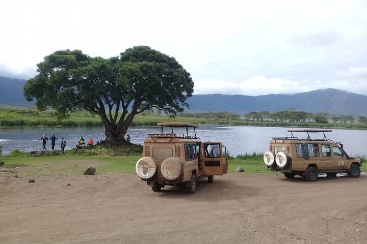 7-Day Tanzania Mid-Range Lodge Safari: Arusha to Serengeti & Ngorongoro photo 1