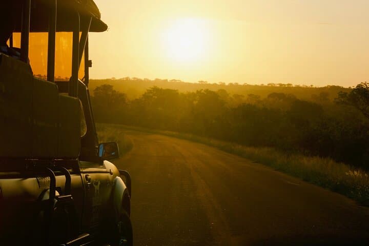 Full-Day Kruger National Park Safari: Open-Vehicle Game Drive with Hotel Pickup photo 3