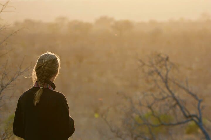 Full-Day Kruger National Park Safari: Open-Vehicle Game Drive with Hotel Pickup photo 4