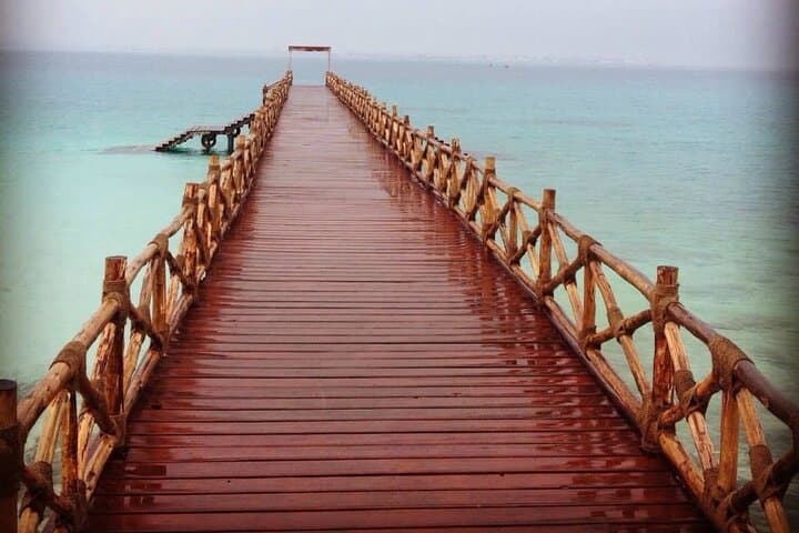 Prison Island (Changuu) Half-Day Private Tour from Stone Town photo 2