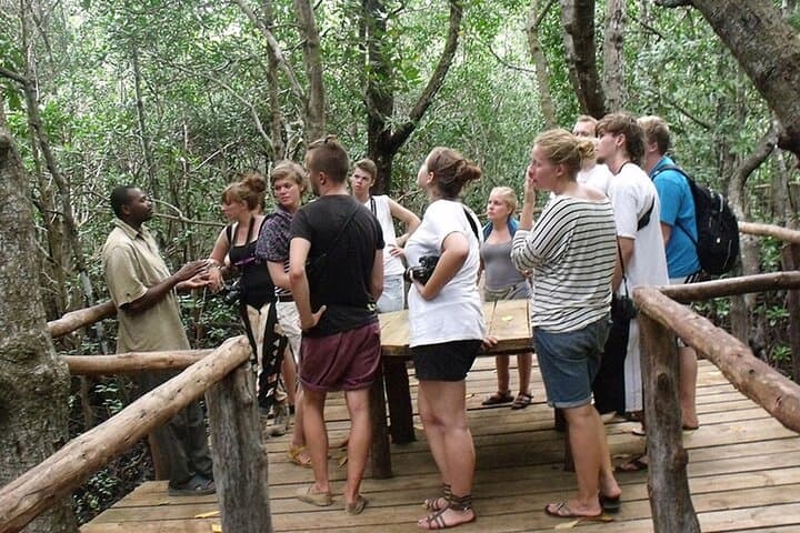 Half-Day Guided Tour of Jozani Forest Reserve — See Zanzibar's Red Colobus photo 3