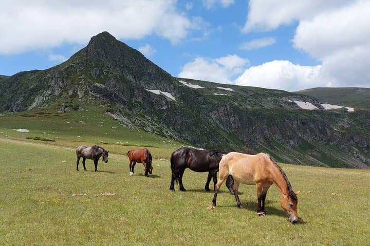 Day Trip to the 7 Rila Lakes & Rila Monastery from Sofia — Chairlift Hike and UNESCO Visit photo 5