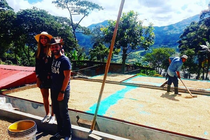 Medellín Coffee Express & Exotic Fruit Market Tour — Coffee Farm Visit and La Minorista photo 3