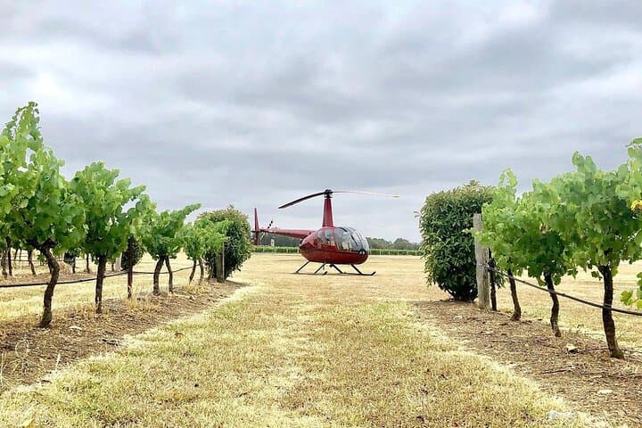 Sunrise Helicopter Tour and Bubbly Breakfast in Hunter Valley photo 3