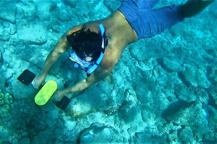 Kauai Sea Scooter Snorkeling — Glide with Green Sea Turtles and Reef Triggerfish