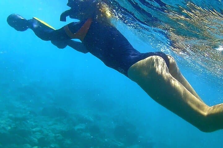 Kauai Sea Scooter Snorkeling — Glide with Green Sea Turtles and Reef Triggerfish photo 4