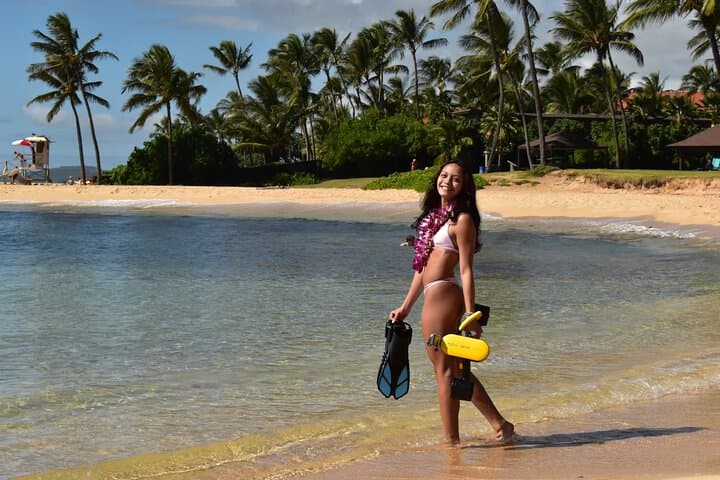 Kauai Sea Scooter Snorkeling — Glide with Green Sea Turtles and Reef Triggerfish photo 2