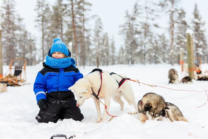 Levi Winter Highlights: Reindeer & Husky Sled Rides, Mini Snowmobiling by Minivan photo 2