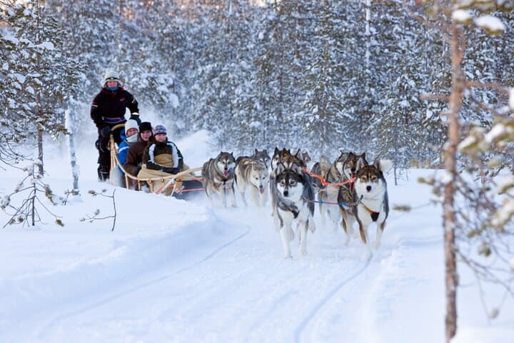 Levi Winter Highlights: Reindeer & Husky Sled Rides, Mini Snowmobiling by Minivan photo 5
