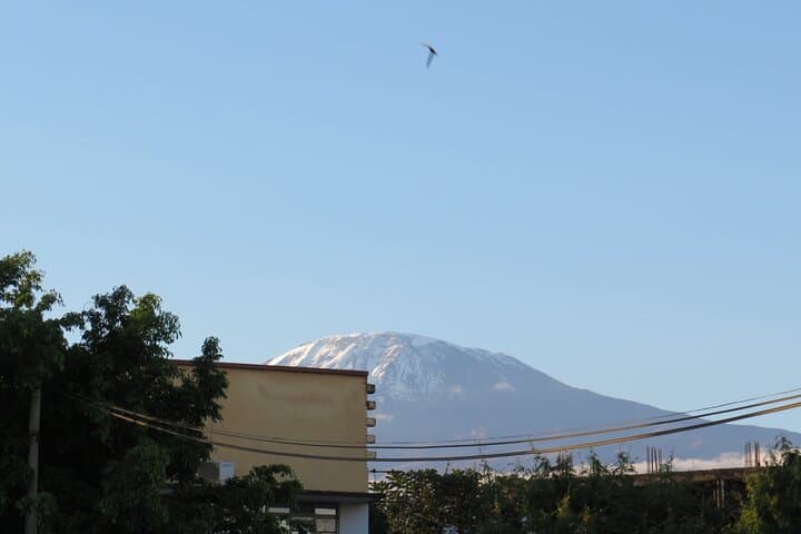 Kilimanjaro Day Trek: Rainforest Hike from Marangu Gate to Mandara Hut