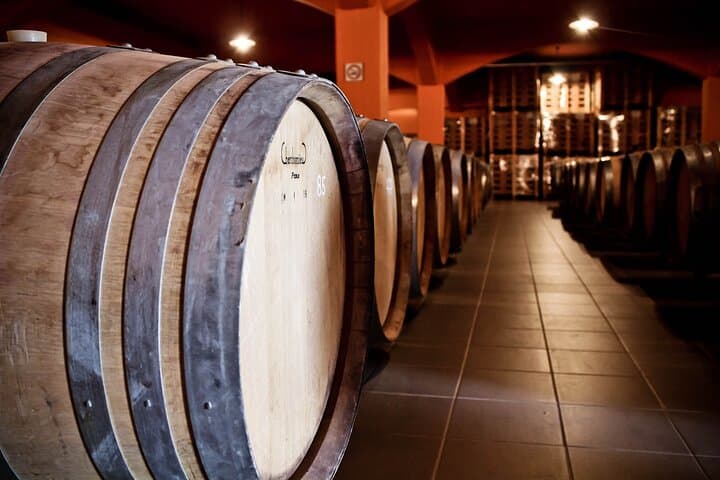Semi-Private Crete Wine Tour: Two Wineries, Lunch & Hotel Transfer (Heraklion) photo 6
