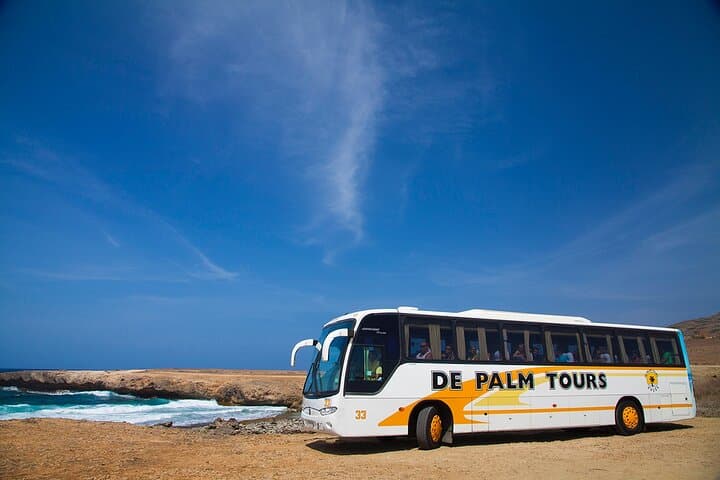 Half-Day Aruba Sightseeing: Butterfly Farm, Aloe Factory, Lighthouses & Natural Bridges photo 3
