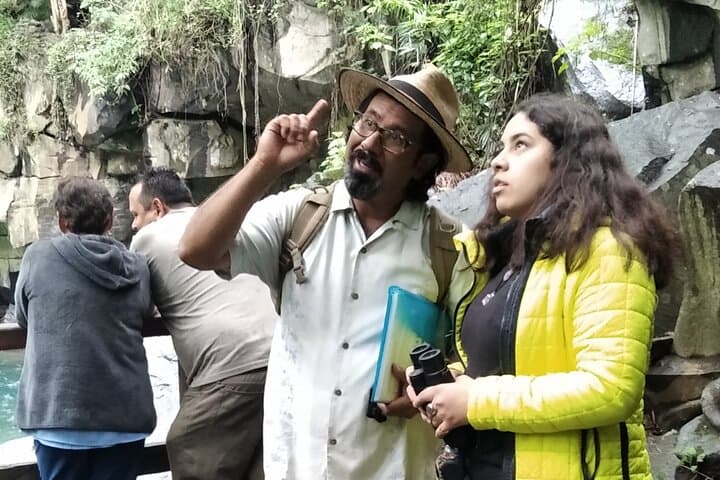 Bird Watching in Barranca del Cupatitzio National Park, Uruapan