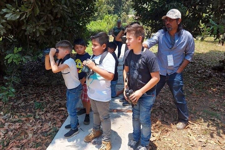 Bird Watching in Barranca del Cupatitzio National Park, Uruapan photo 6