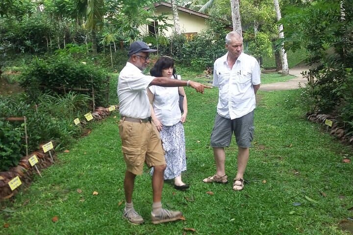 Nandana Tea Walking Tour: Authentic Ceylon Tea Estate Experience in Akuressa photo 5