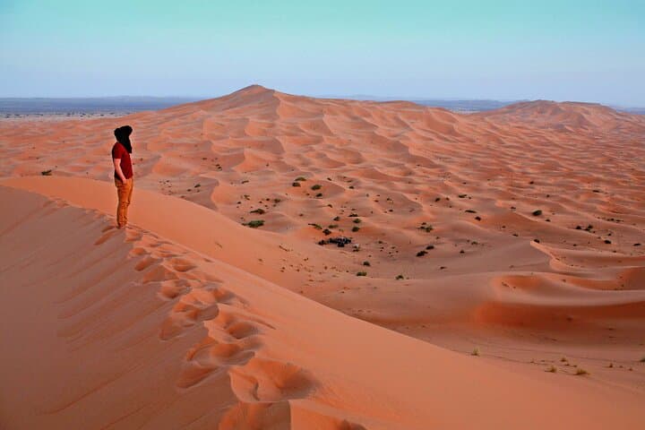Dubai 4x4 Desert Safari with BBQ, Dune Bashing & Bedouin Camp Entertainment photo 6