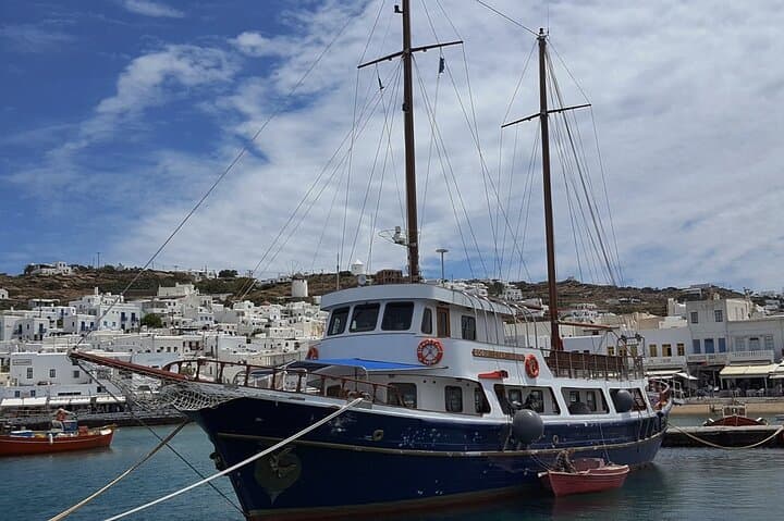 Mykonos to Delos & Rhenia: Shared Cruise to Ancient Ruins and Hidden Beaches photo 5