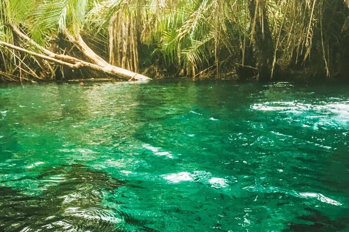 Materuni Waterfalls and Kikuletwa Hot Springs: Full-Day Trip from Moshi