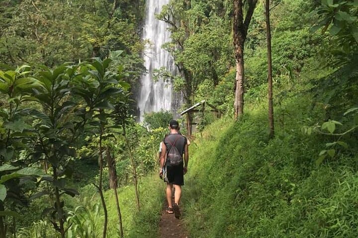 Materuni Waterfalls and Kikuletwa Hot Springs: Full-Day Trip from Moshi photo 2