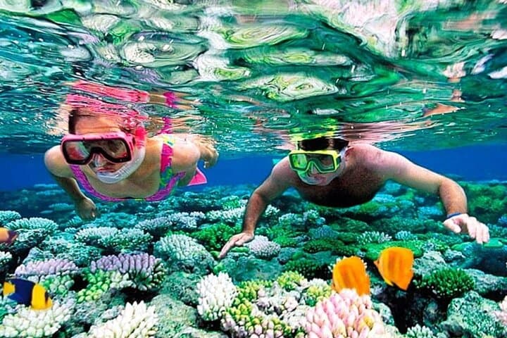 Sharm El Sheikh in a Day: Flight, Reef Time, and City Sights from Cairo photo 6