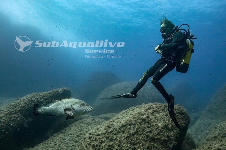 Capo Carbonara Four-Dive Package: Explore Sardinia’s Marine Protected Area photo 3