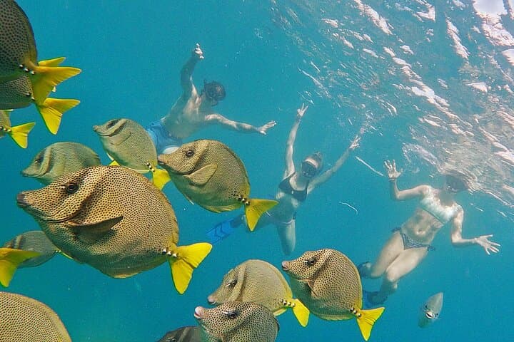 Private Snorkeling Tour in Cabo San Lucas — Escape the Crowds photo 2