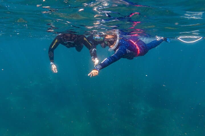 Private Snorkeling Tour in Cabo San Lucas — Escape the Crowds photo 3