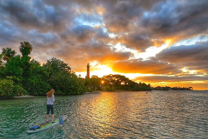 Sunrise Paddle Boarding Adventure: Jupiter Mangroves & Wildlife Eco Tour photo 2