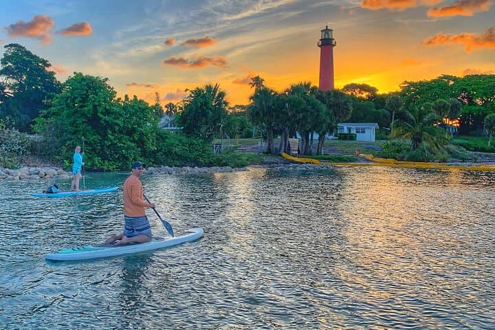 Sunrise Paddle Boarding Adventure: Jupiter Mangroves & Wildlife Eco Tour photo 3