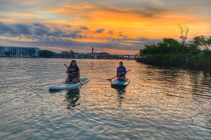 Sunrise Paddle Boarding Adventure: Jupiter Mangroves & Wildlife Eco Tour photo 4