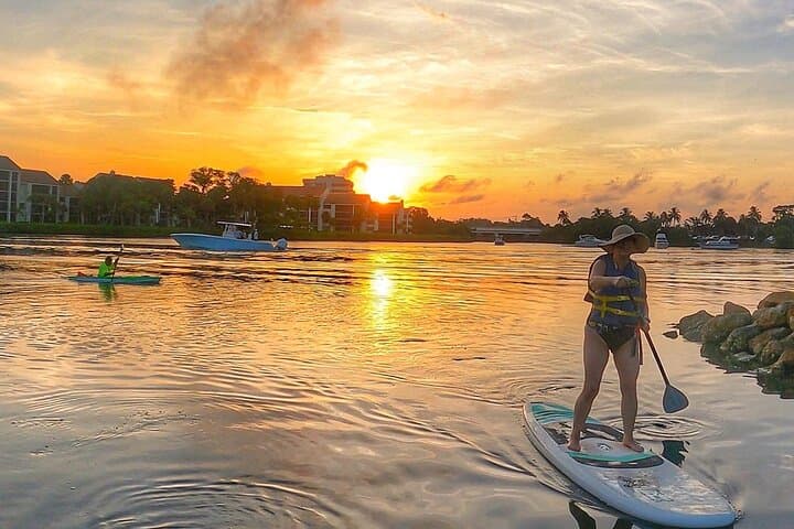 Sunrise Paddle Boarding Adventure: Jupiter Mangroves & Wildlife Eco Tour photo 6