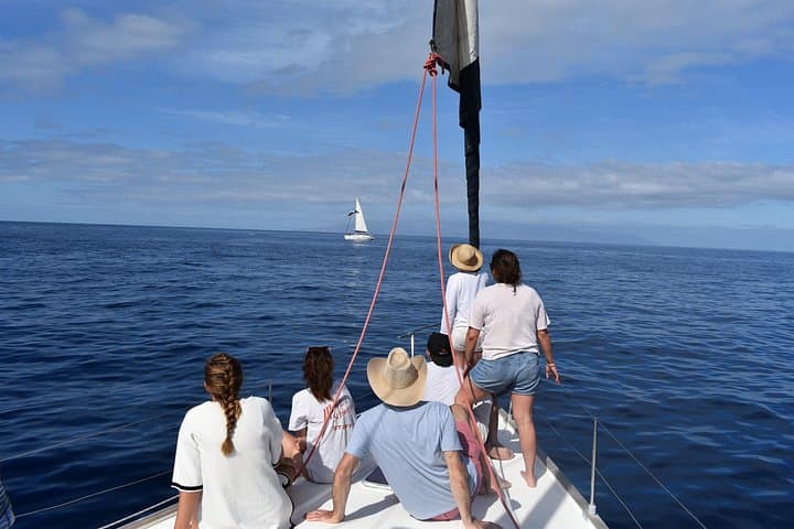 Los Gigantes Cliffs Small-Group Sail Tour with Lunch — Whale Watching & Snorkeling in Tenerife photo 4