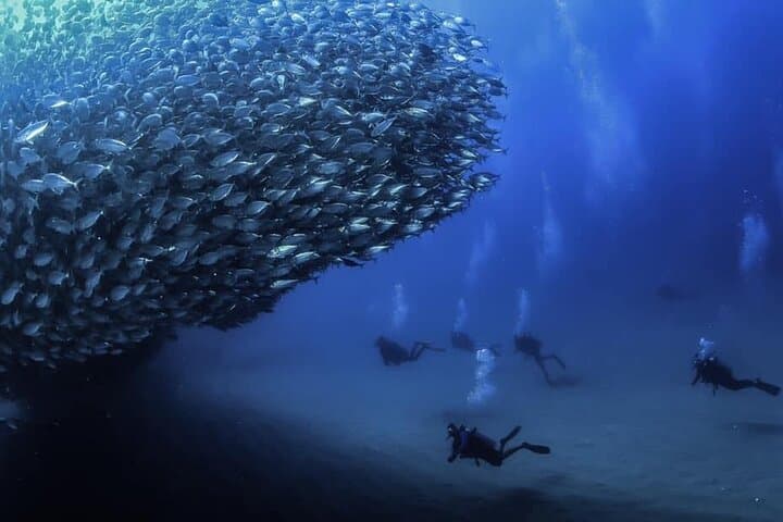 Private Dive Boat in Cabo San Lucas: Small-Group Certified Dives at the Arch