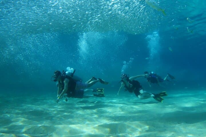 Private Dive Boat in Cabo San Lucas: Small-Group Certified Dives at the Arch photo 4