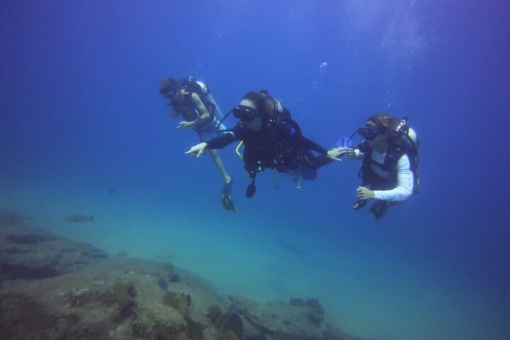 Private Dive Boat in Cabo San Lucas: Small-Group Certified Dives at the Arch photo 5