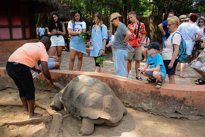 Prison Island (Changuu) Half-Day Private Tour from Stone Town photo 5