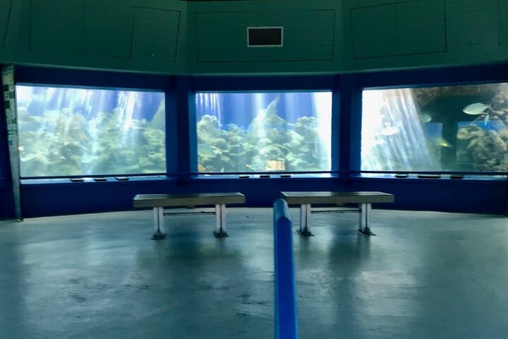 After-Hours Guided Tour of Coral World Ocean Park & Happy Hour in St. Thomas photo 2
