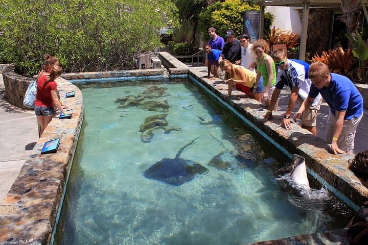 After-Hours Guided Tour of Coral World Ocean Park & Happy Hour in St. Thomas photo 4