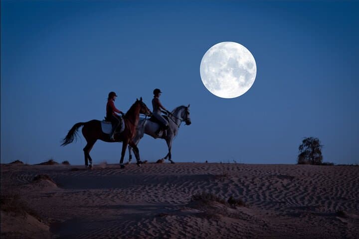Full Moon Horse Riding in Dubai — Moonlight Ride at Mushrif Park
