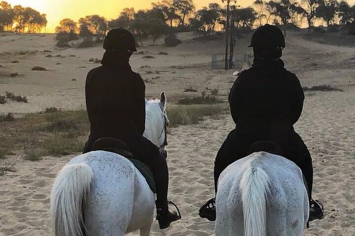 Full Moon Horse Riding in Dubai — Moonlight Ride at Mushrif Park photo 3