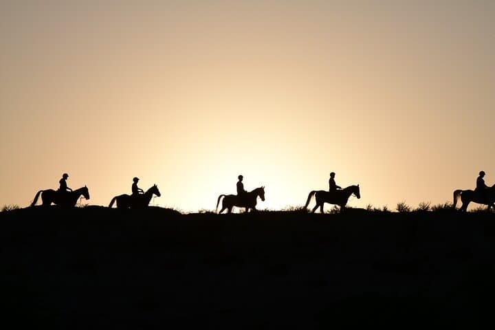 Full Moon Horse Riding in Dubai — Moonlight Ride at Mushrif Park photo 4