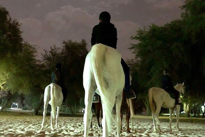 Full Moon Horse Riding in Dubai — Moonlight Ride at Mushrif Park photo 2