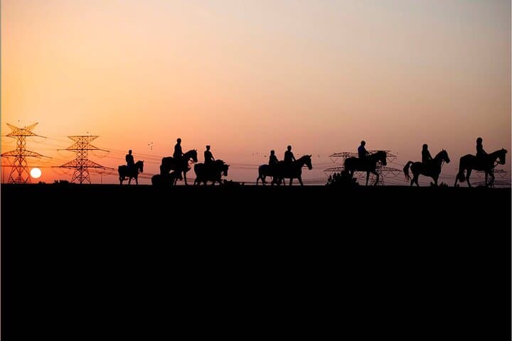 Full Moon Horse Riding in Dubai — Moonlight Ride at Mushrif Park photo 5