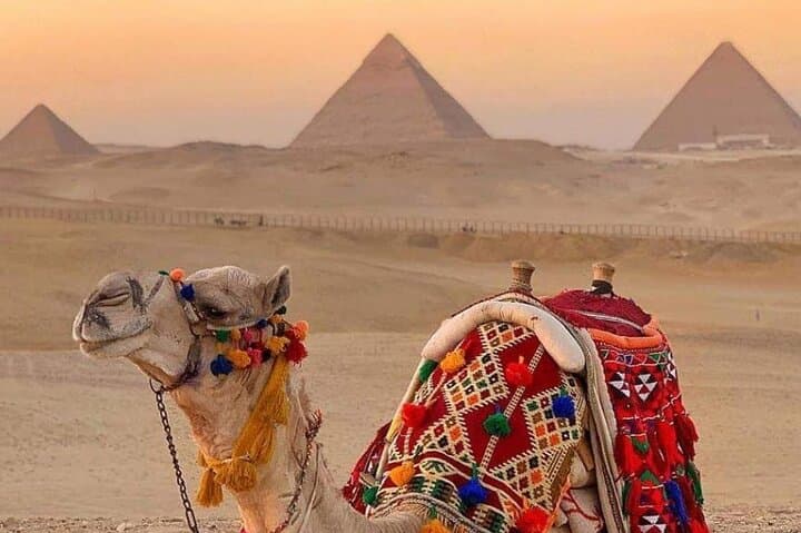 Sunrise & Sunset Camel and Horse Ride Around the Giza Pyramids photo 4